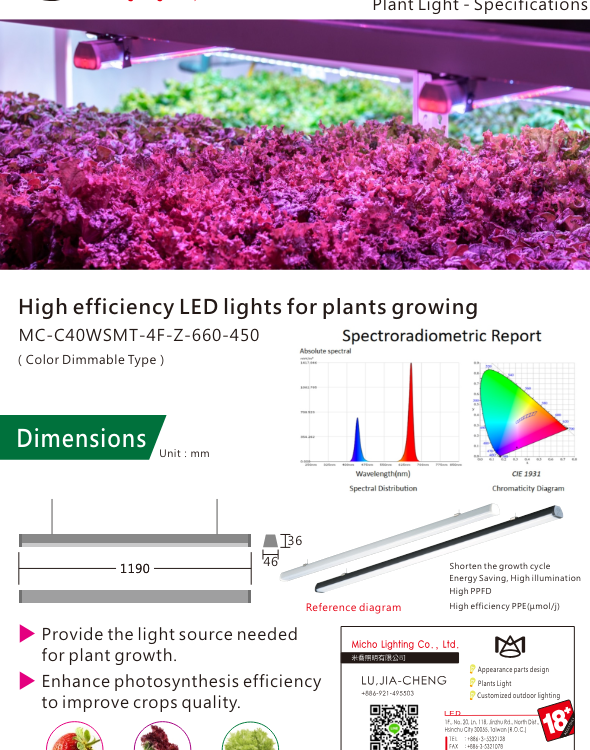 Lettuce grow light
